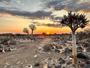 Namibie - Cap Kalahari